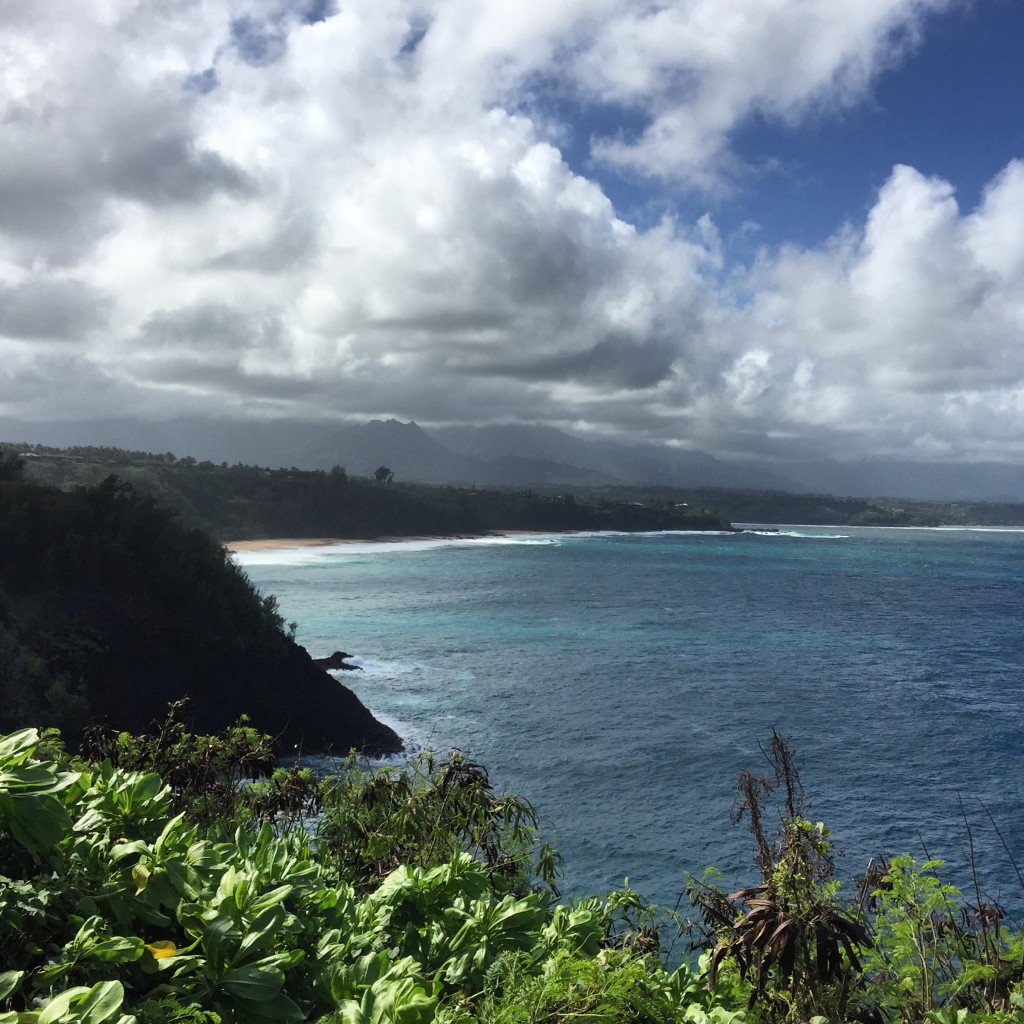 Kauai Coast by Sara Tekula