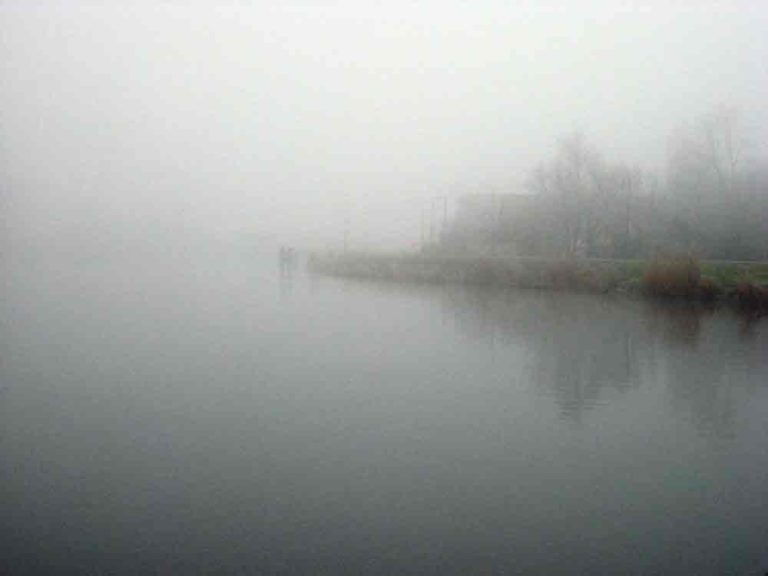 Fog by Ard Hesselink