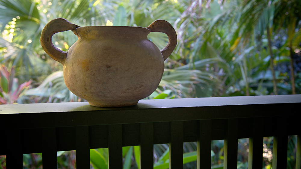 Vessel on the Lanai - Photo by Larry Cameron