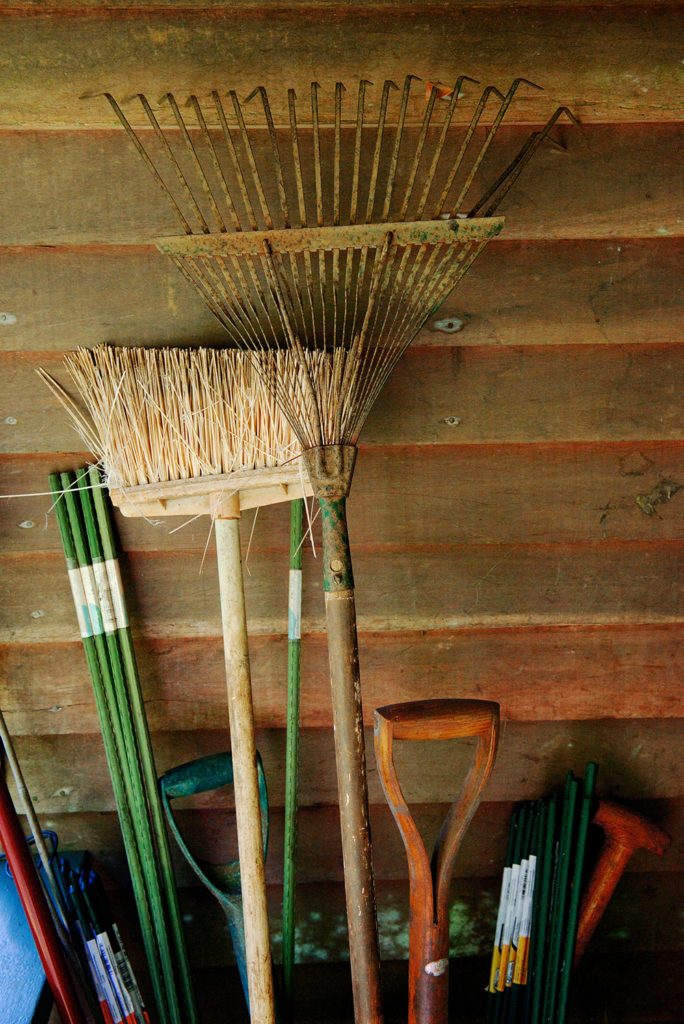 Larry Cameron - W.S. Merwin Rakes and Brooms
