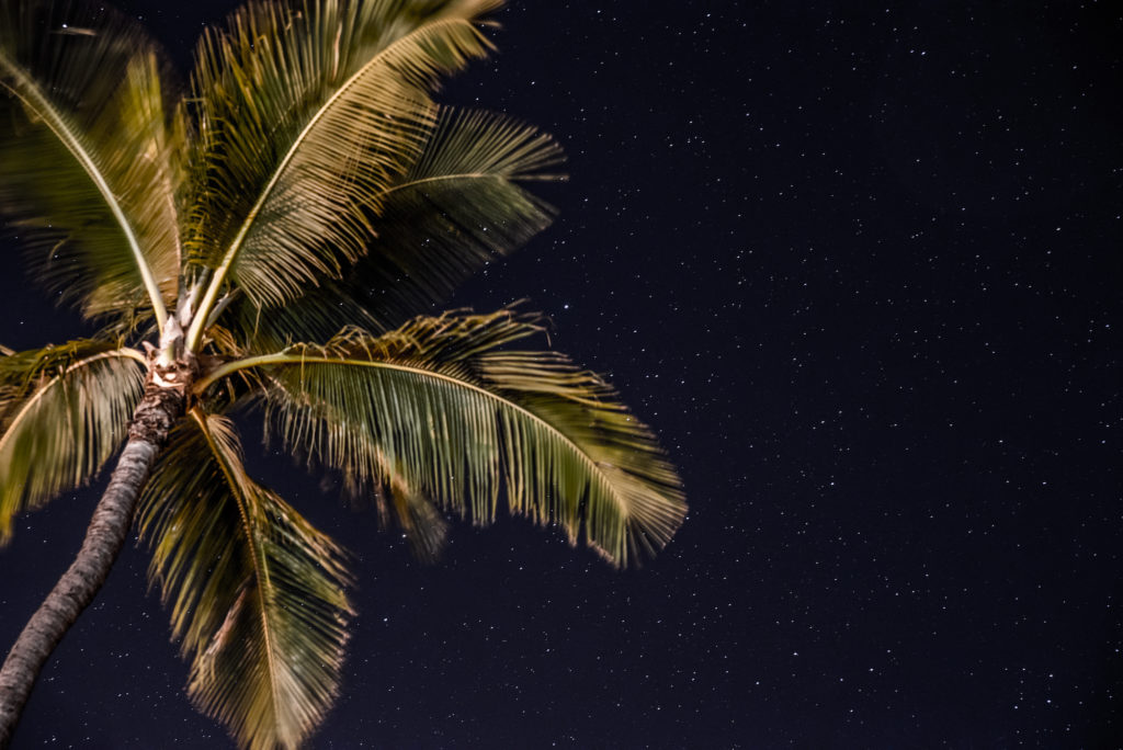 Hawaiian Nights Photo by Justin De La Ornellas