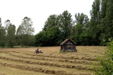 Hay Bales being harvested in France near W.S. Merwin's farmhouse. Photo by Stefan Schaefer.