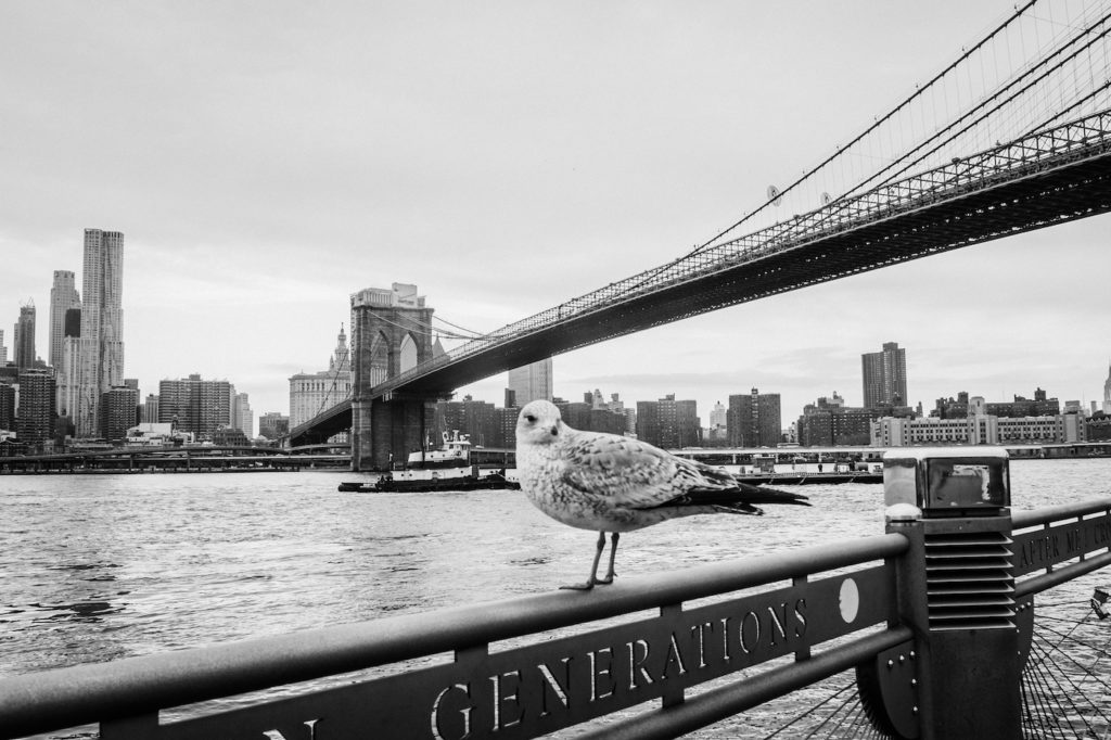 New York City by Jörg Schubert